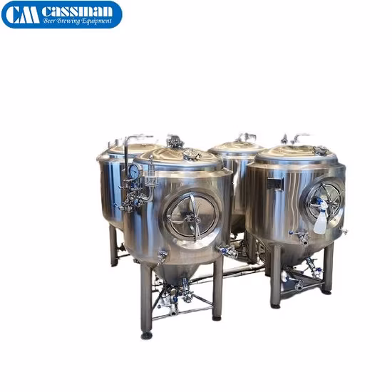 100L 2bbl 10bbl 3000L Bright Beer Brite Tank